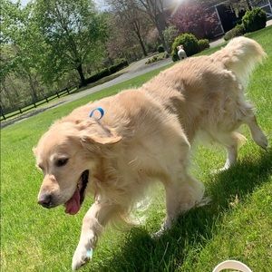 Meet your Posher, Kaitlyn